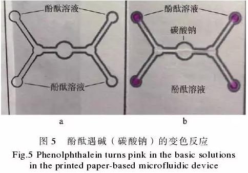 為了驗證紙包裝與紙基微流控芯片的整合技術(shù)，在紙盒的4個體板上分別制作了4個微流控芯片，該紙基芯片在pH值檢測中的應(yīng)用示例見圖5。