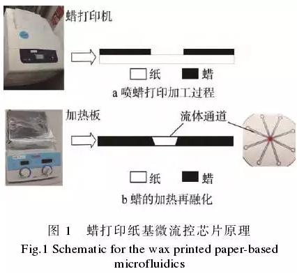 使用蠟打印加工紙基微流控芯片的方法，其基本原理見圖1。