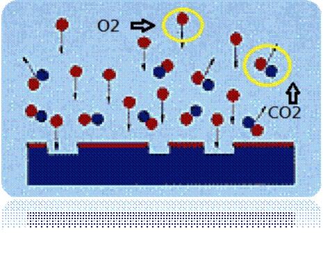 圖二為已被電離化的氣體分子團(tuán)（Plasma）對(duì)被處理材料的分子團(tuán)進(jìn)行撞擊及反應(yīng)。