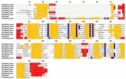 設(shè)計PPI治療方案，多考慮點