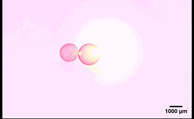 圖4. “齒輪”型液滴機械系統(tǒng)。