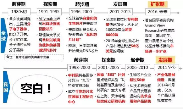 圖3.全球及我國生物芯片發(fā)展歷程