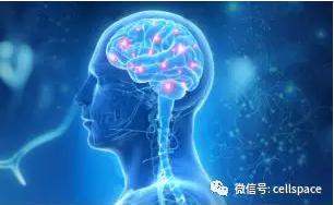 從實(shí)際應(yīng)用出發(fā)，讓標(biāo)志物助力精準(zhǔn)診斷