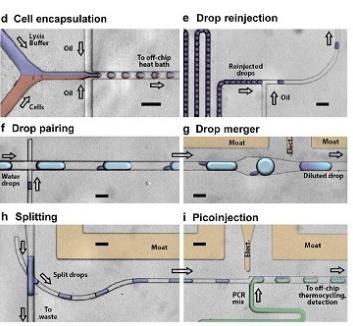 用于單細(xì)胞分析的微流體液滴qRT-PCR裝置來(lái)自Eastburn等，Analytical Chemistry，2013