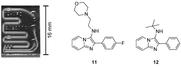 用于合成G蛋白偶聯(lián)受體調(diào)節(jié)化合物的微流控芯片。來自Rodrigues等人的圖片 “通過微流體系統(tǒng)獲得新的化學實體?！? width=