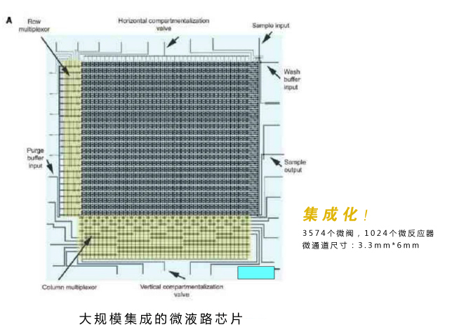微流控芯片實(shí)驗室技術(shù)優(yōu)勢：大規(guī)模集成的微液路芯片