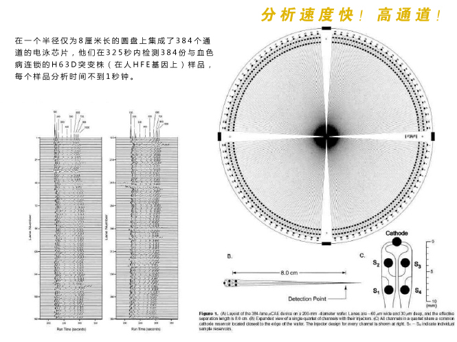 微流控芯片實(shí)驗室分析檢測速度快，具有高通道等特性。