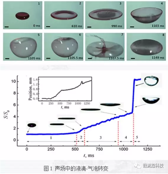 聲場中的液滴-氣泡轉(zhuǎn)變
