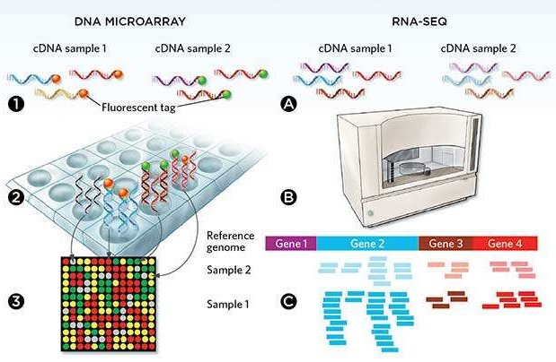 微流控自動化技術(shù)革新RNA-Seq文庫構(gòu)建流程 --- FLUIDIGM發(fā)布更高效、更節(jié)約成本的Advanta RNA-Seq NGS 文庫構(gòu)建解決方案