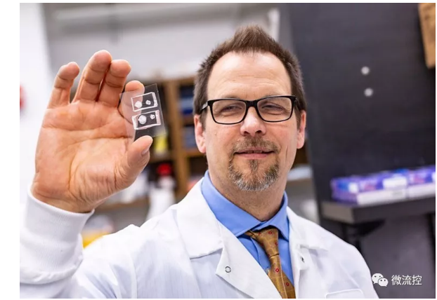 德克薩斯大學達拉斯分校的生物工程師與德克薩斯大學西南醫(yī)學中心的合作者能夠創(chuàng)建角膜組織模型，并利用它們來研究受損眼睛是如何愈合的。
